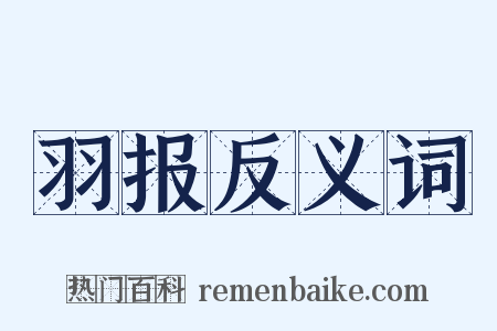 羽报反义词是什么意思的图片